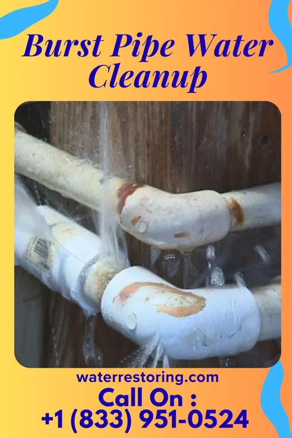 Burst Pipe Water Cleanup in La Cienega, NM