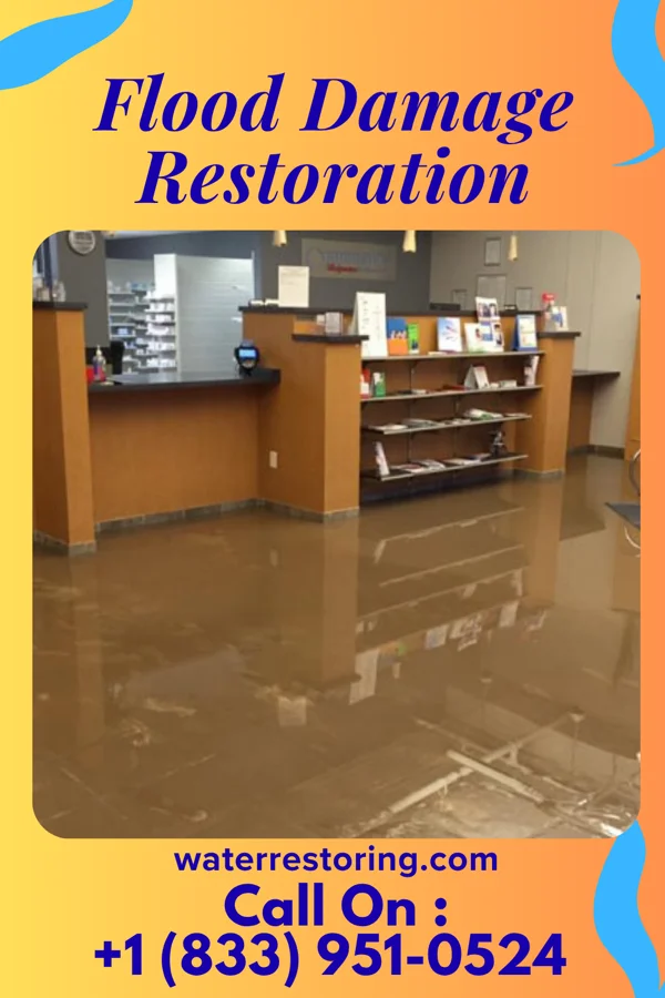 Flood Damage Restoration in La Cienega, NM