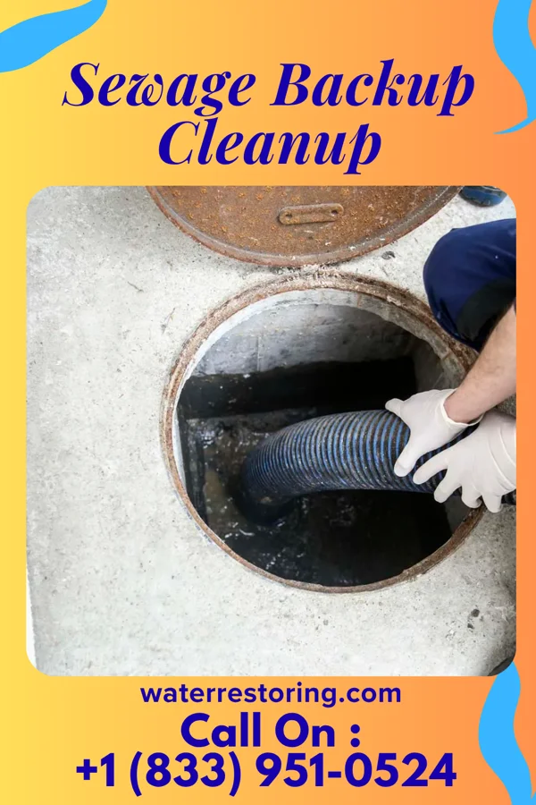 Sewage Backup Cleanup in La Cienega, NM