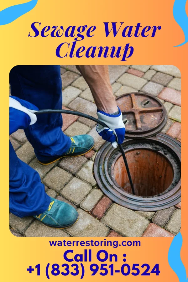Sewage Water Cleanup in La Cienega, NM